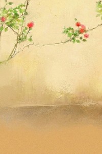 瑞士田径选手以绝佳成绩获得多项冠军