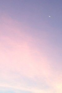 瑞士田径选手以绝佳成绩获得多项冠军