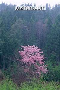 国米后防失守，争冠形势岌岌可危