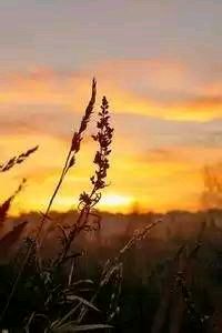 利物浦客场-战胜拉斯帕尔马斯，提前晋级