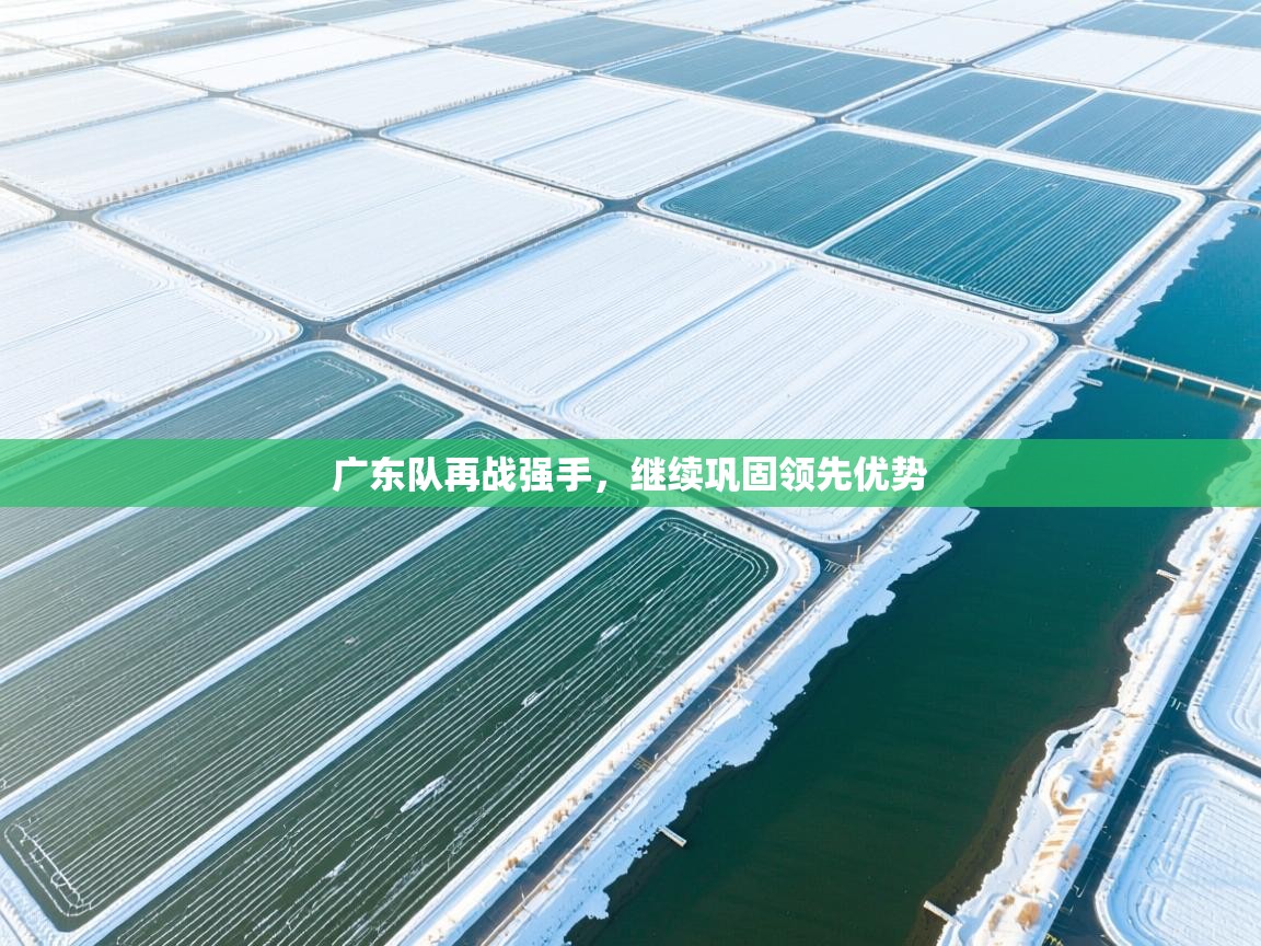 广东队再战强手,继续巩固领先优势 第2张